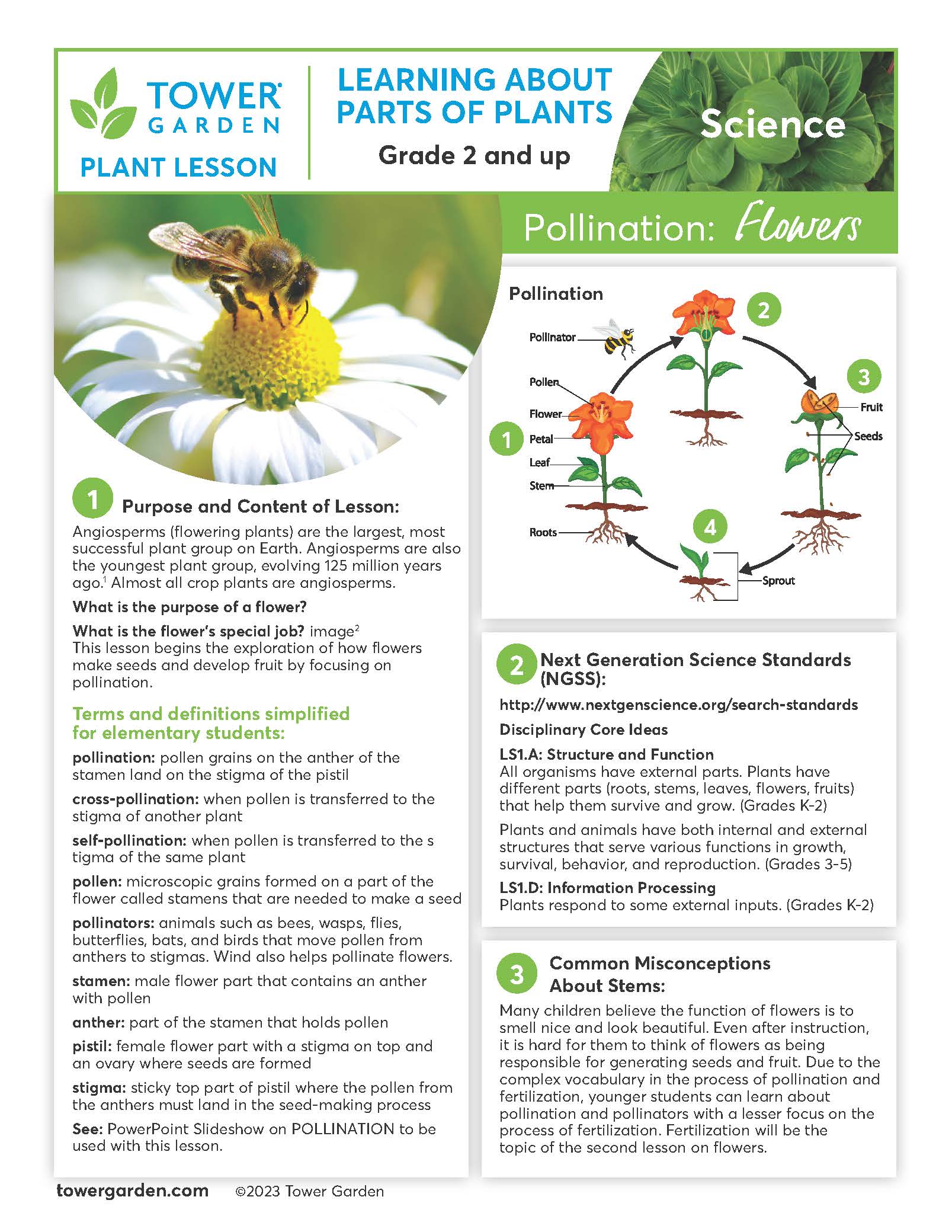 Pollinators Lesson Plan Lesson Plans – Tower Garden CA