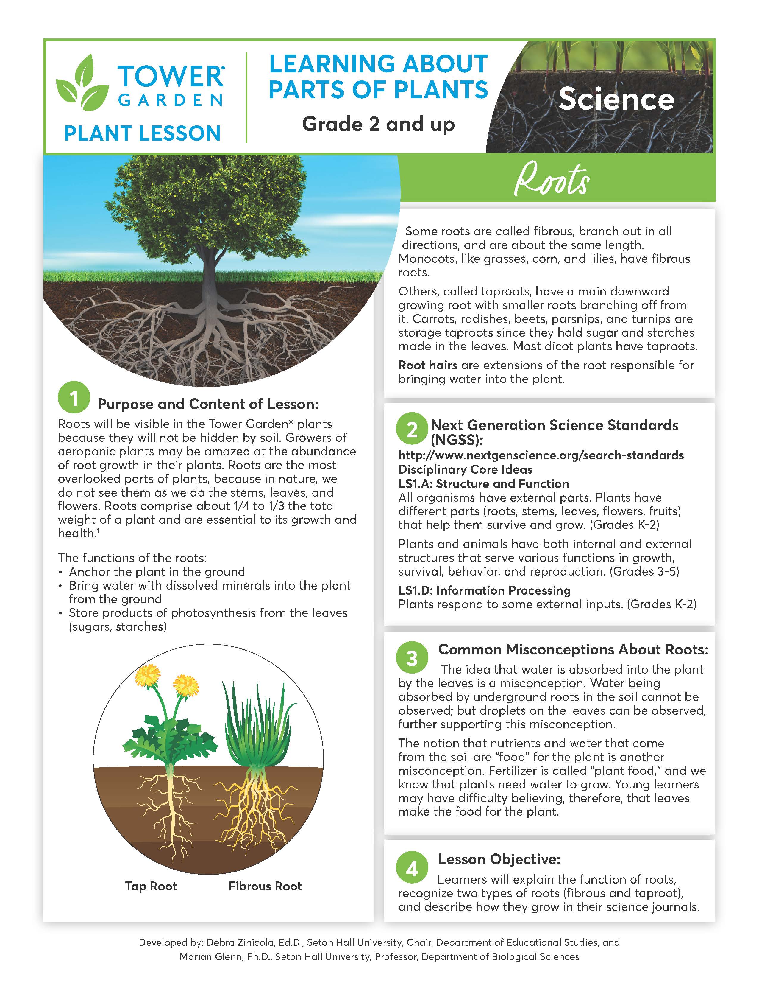 Plant Lesson Plans Math Lesson Plans – Tower Garden CA
