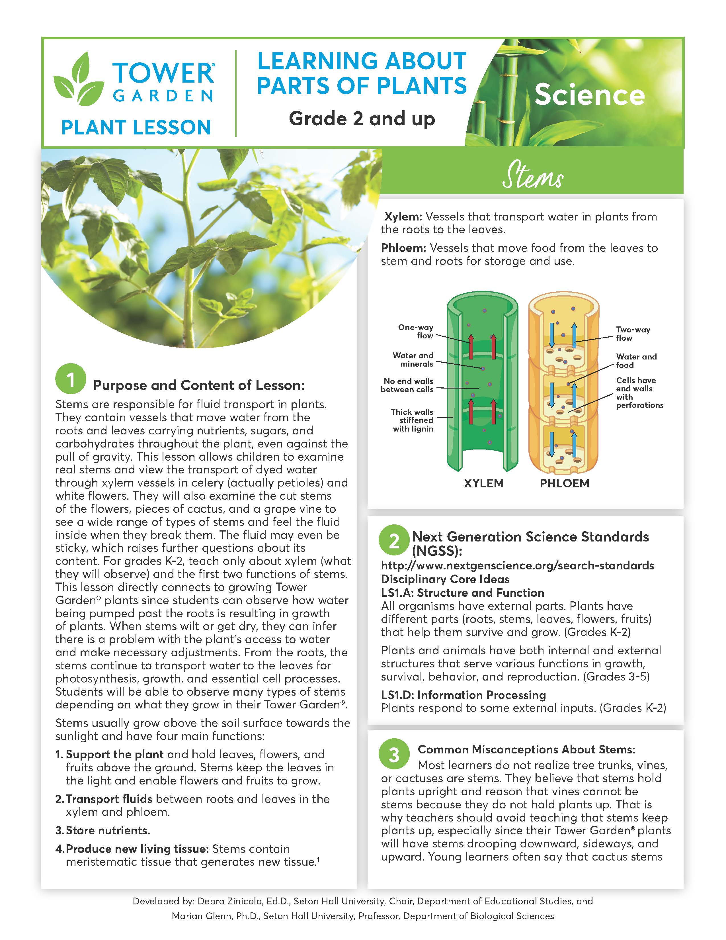Plant Lesson Plans Math Lesson Plans – Tower Garden CA