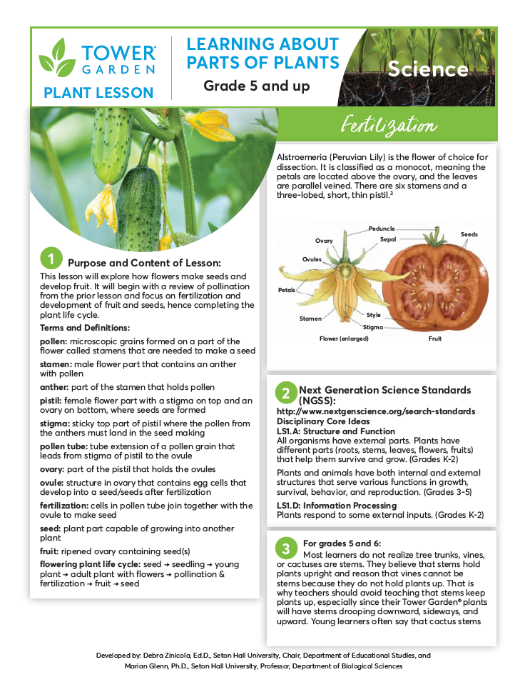 Plant Lesson Plans Math Lesson Plans – Tower Garden CA