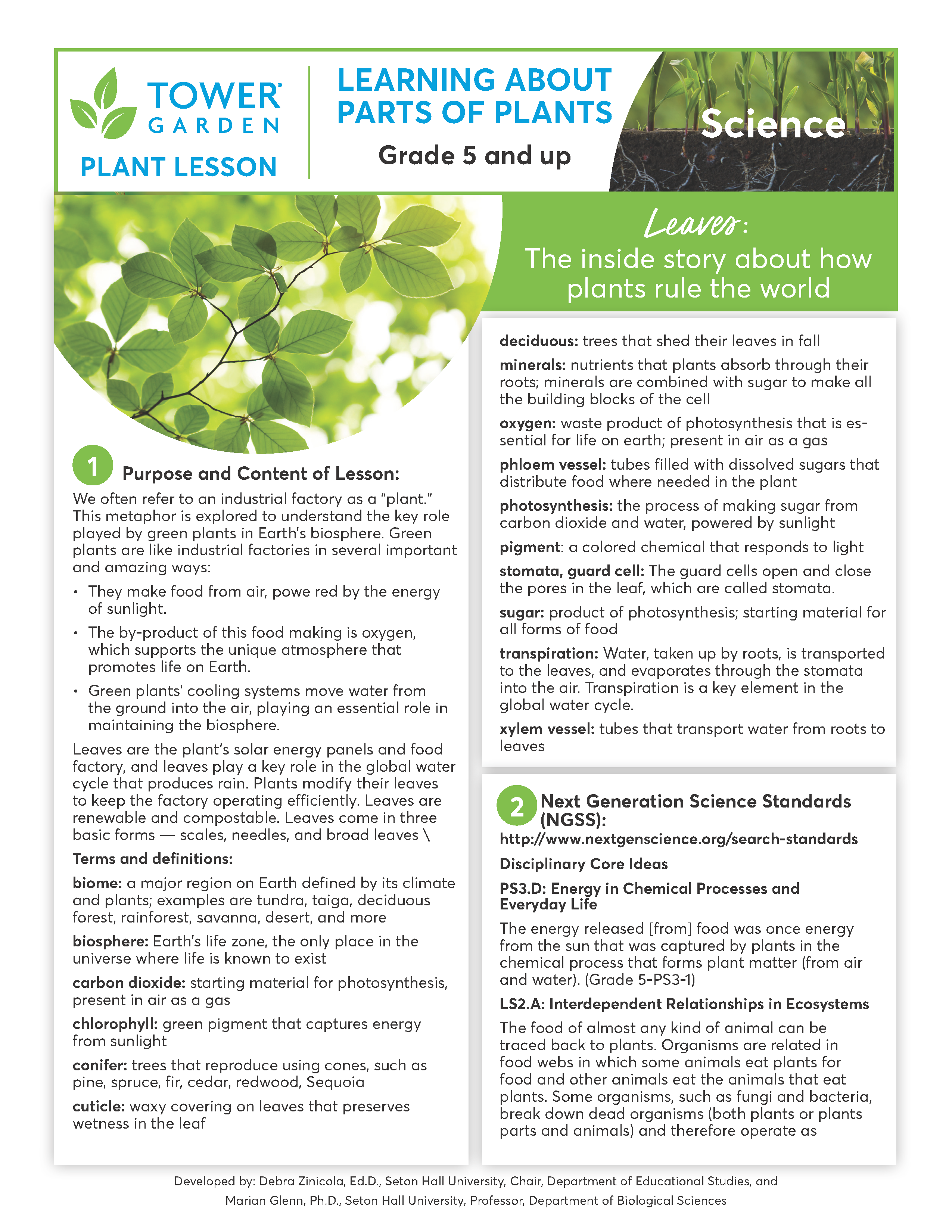 Plant Lesson Plans Math Lesson Plans – Tower Garden CA